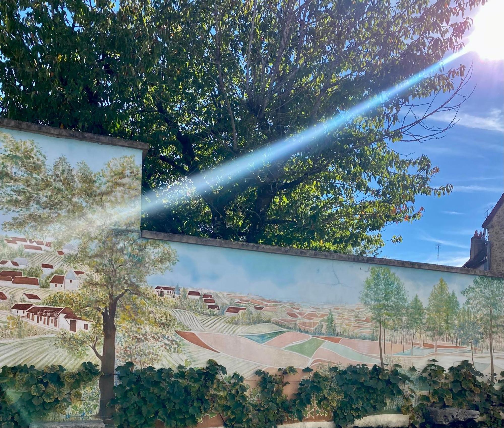 Domaine Du Cellier De La Couronne Bed & Breakfast Sézanne Dış mekan fotoğraf